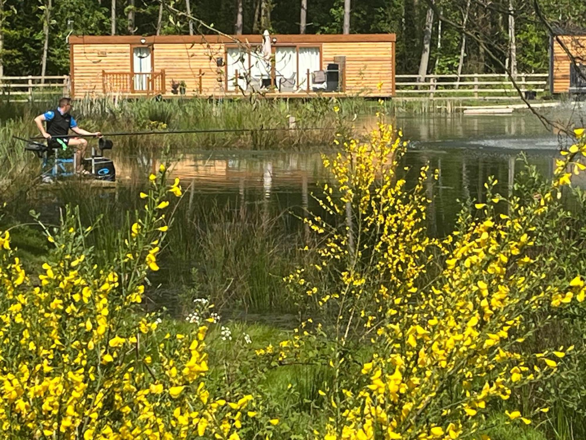 Rowan Boutique Lodge For Couples With A Dog York Luaran gambar